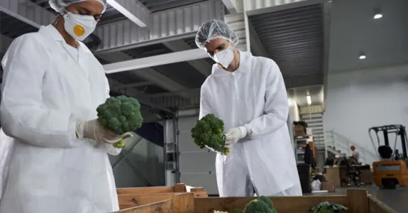 Food Factory Workwear Laundry & Rental Service - CLEAN - Case Study