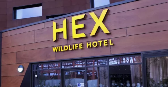 The Hex Wildlife Hotel - CLEAN - Case Study
