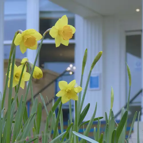 The Marsham Court Hotel - Flowers outside the front of the hotel