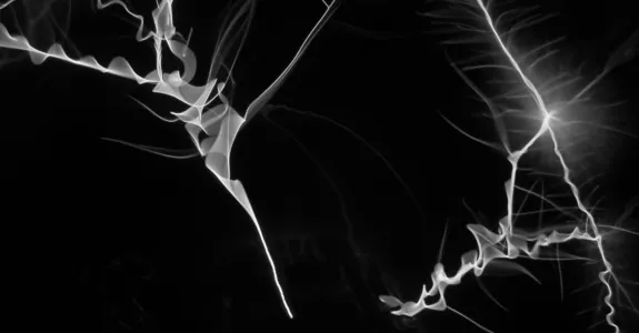 Arc Protect Workwear Standards - CLEAN - Case Study